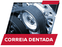 Correia Dentada