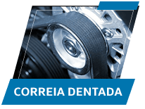 Correia Dentada