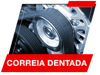 Correia Dentada