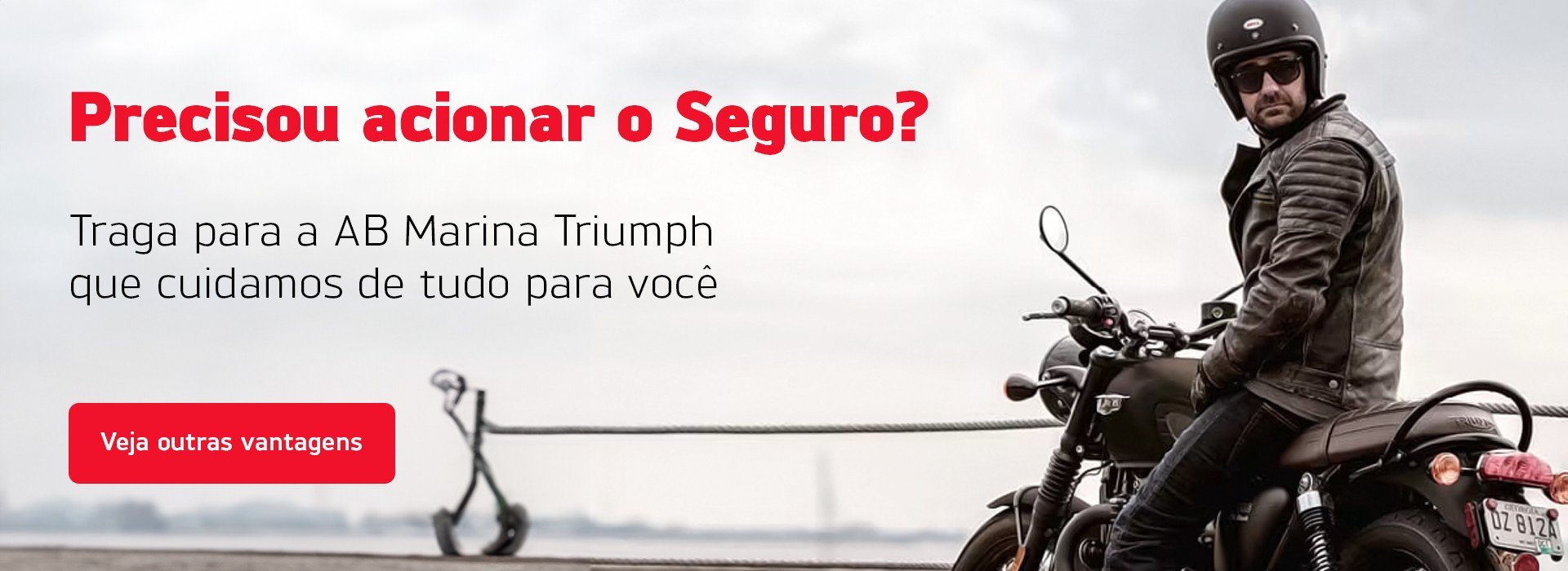 Serviços - Triumph - 06