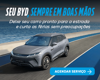 BYD - 06 - Serv