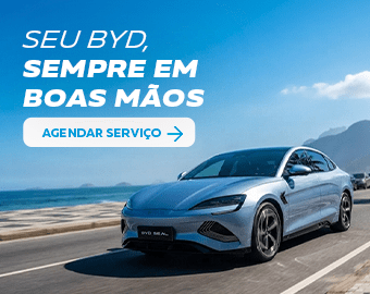 BYD - Serv - 08