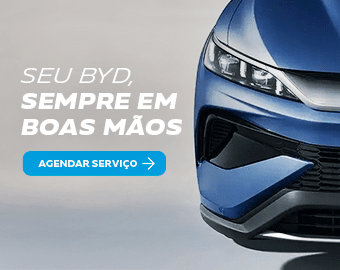 BYD - Serv - 09
