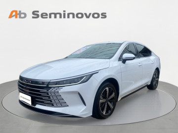 BYD King