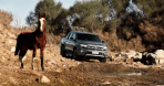 Galeria - Nova Amarok