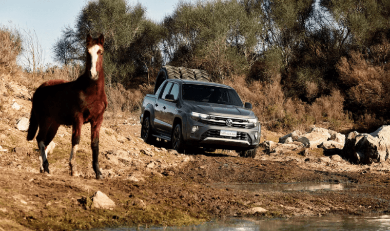 Galeria - Nova Amarok