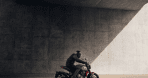 Trident 660
