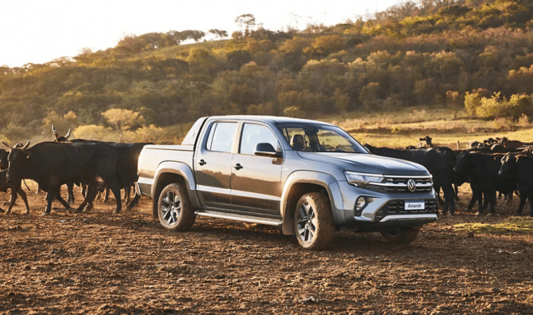 Galeria - Nova Amarok