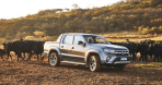 Galeria - Nova Amarok