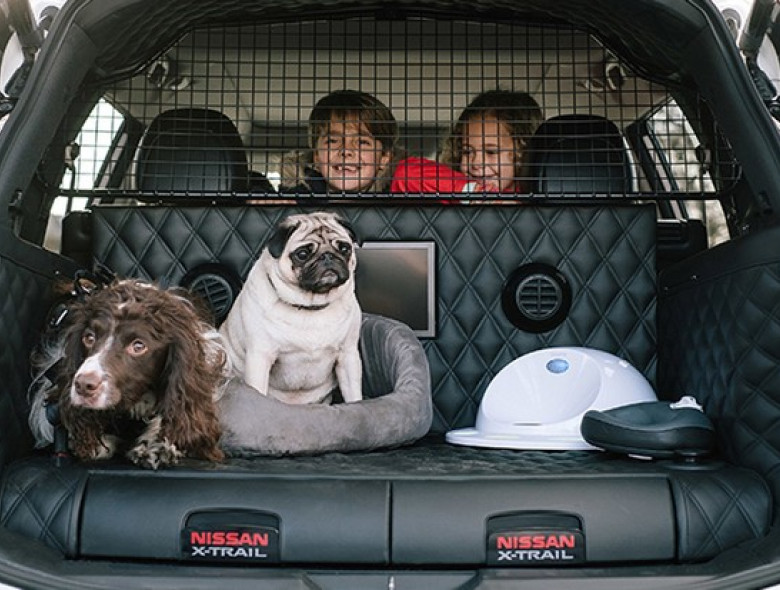 Nova versão do crossover conta com acessórios exclusivos para os pets, incluindo chuveiro, secador e cama