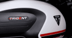Trident 660