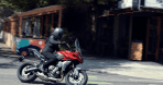Tiger Sport 660