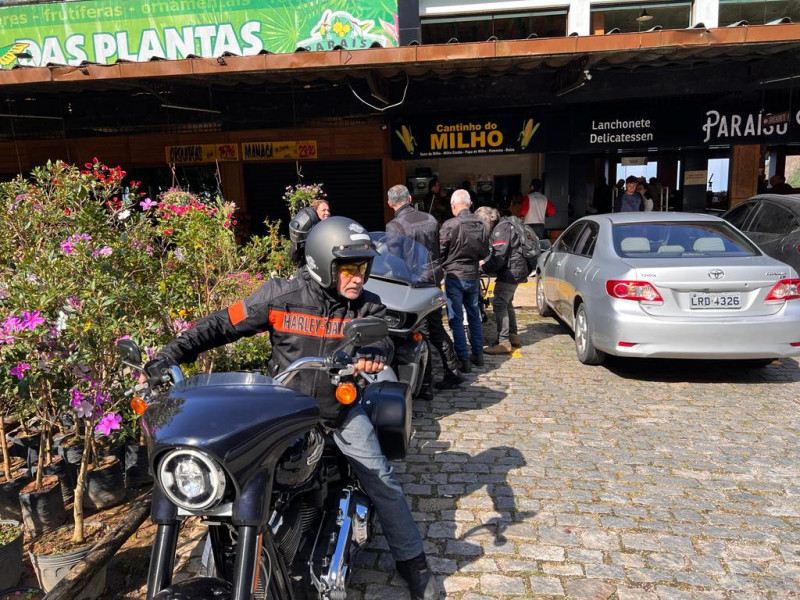 Album galeria foto 190