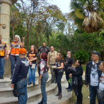 Album galeria foto 210
