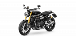 Speed Twin 1200