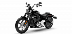 Street Bob™ 2025