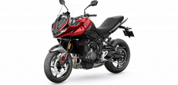 Tiger Sport 660