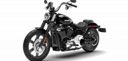 Street Bob™ 2026