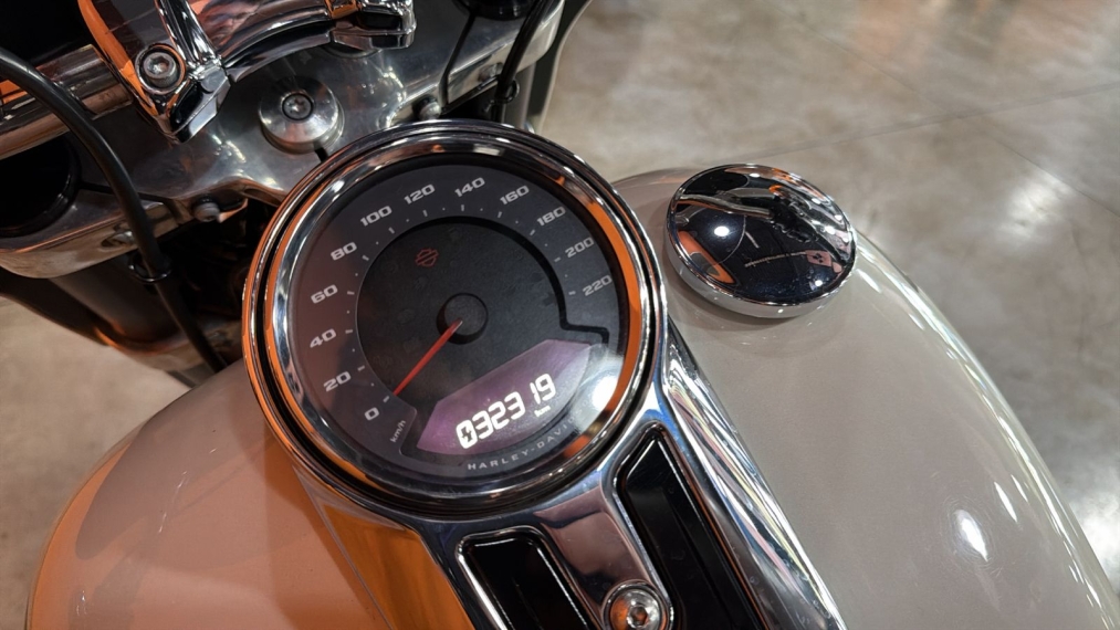 Harley Davidson Softail