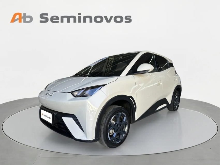 BYD Dolphin Mini