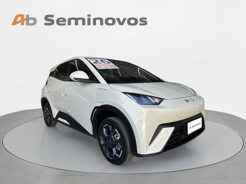 BYD Dolphin Mini