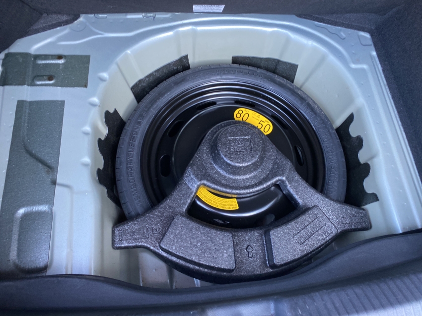 Volkswagen Tera