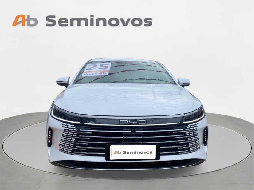 BYD King
