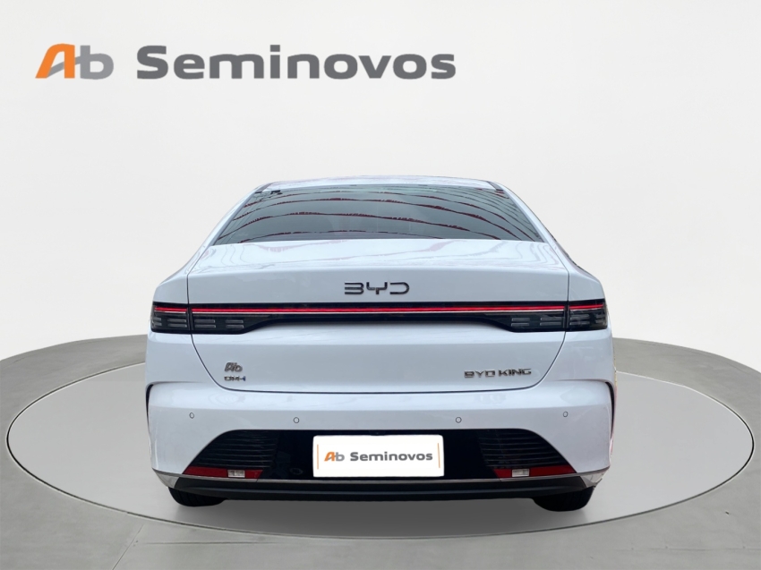 BYD King