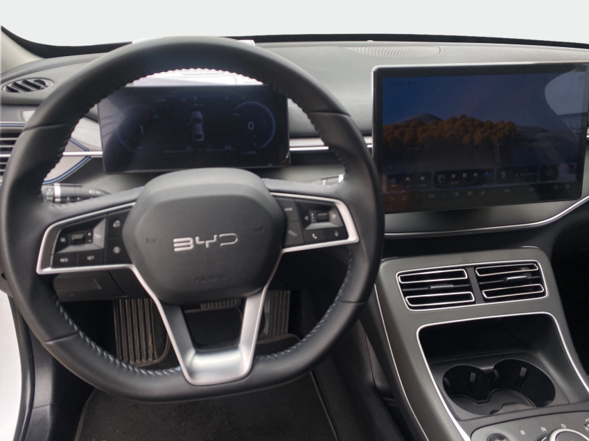 BYD King