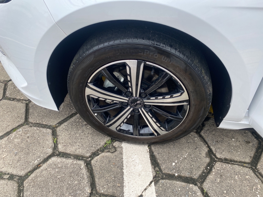 BYD King