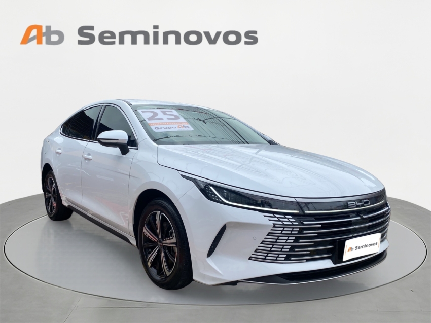 BYD King